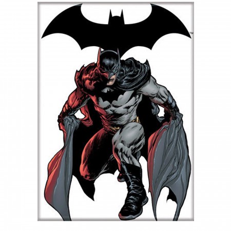 Batman #706 Crouch White Magnet - SuperHeroStuff