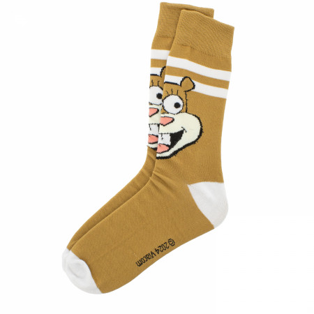 Product image 4 for SpongeBob SquarePants Characters 6-Pack Crew Socks